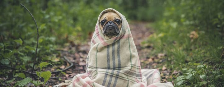 IPv6 - DDoS is still PITA for Blue Team